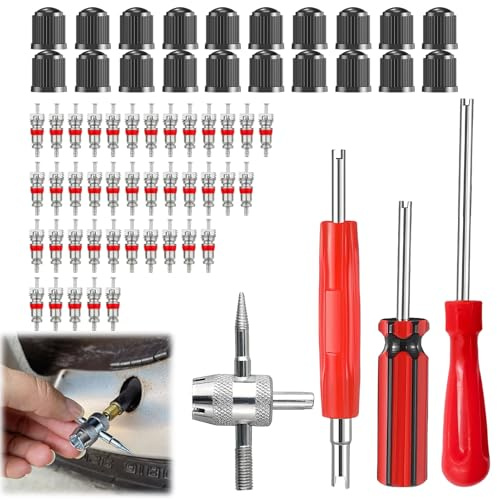 Kit de démontage de valve de pneu 64 pièces avec 40 noyaux de valve Schrader, 20 bouchons de valve et 4 outils de démontage, convient pour voitures, motos, vélos, camions et SUV, durable