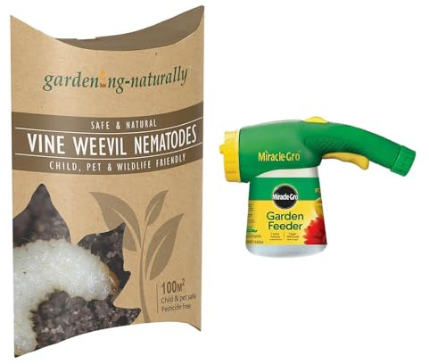 Vine Weevil Nematodes - Treats 100 sq.m Comes With Nematode Applicator