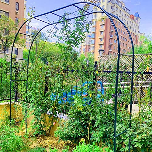 SHENGSHIYU Arches De Rose De Jardin en Métal, Treillis D'arche De Jardin, pour Plantes Grimpantes, Pergola en Fer Forgé, Résistant Aux Intempéries, Mariage De Pelouse,Green-350x220cm