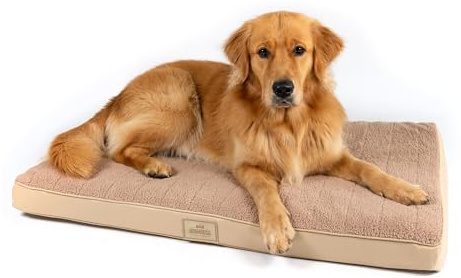 Doghouse Premium Hundebett L 100x65x9cm für mittelgrosse Hunde – Orthopädisch, Waschbar, Hundematratze Hundekissen flauschig, Beige ergonomisch