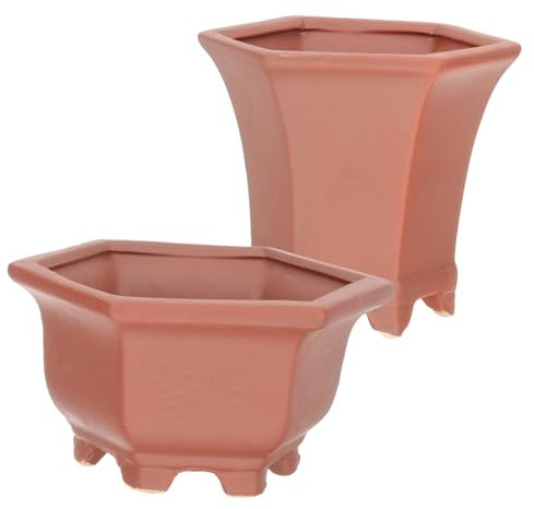 Abaodam 2piezas Macetas De Cerámica Pequeñas De Estilo Chino Macetas para Suculentas y Flores De Terracota para Exterior Accesorio para