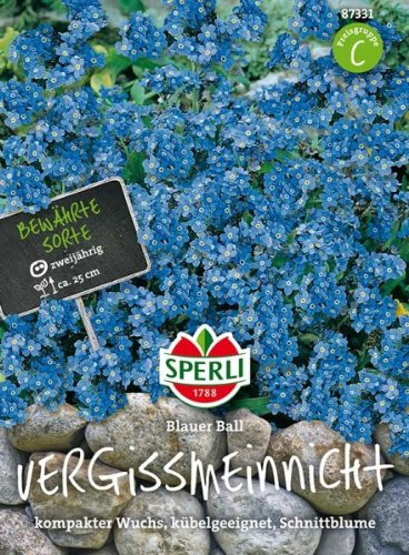 Sperli Vergissmeinnicht Blauer Ball