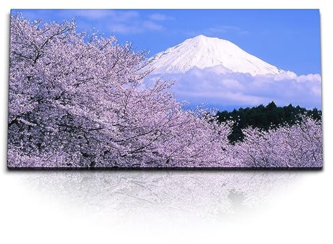 Paul Sinus Kunstdruck Bilder 120x60cm Japanische Kirschblüten Japan Fuji Vulkan Frühling