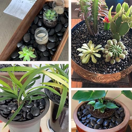 Steine Kieselsteine Schwarze Dekosteine für Vasen Deko Kies Schwarz Aquarium Steine Kleine Zierkies Gartensteine Gartendeko Steine zum Basteln Aquarienkies Garten Stein - 1,9kg