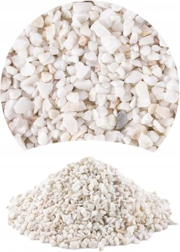 TD STONES Malawi Kies Weiß Dolomit 1-4mm (2kg) - pH-stabilisierender Naturkies & Bodengrund für Biotop Aquarien - Aquarium Sand für Pflanzen, Fische & Deko