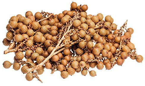 NaDeco Rattan-Frucht-Zweige 500g Naturdeko | Getrocknete Rattan Zweige mit Früchten aus Indonesien | Calamus longisetus | Deko für Vasen, Schalen, Tisch, Boho Deko, Floristik & DIY Bastelnㅤ
