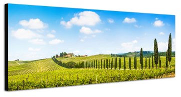 Weinberge Weinreben Toskana 150x50cm Panorama Wandbild auf Leinwand und Keilrahmen fertig zum aufhängen - Unsere Bilder auf Leinwand bestechen durch ihre ungewöhnlichen Formate und den extrem detaillierten Druck aus bis zu 100 Megapixel hoch aufgelösten Fotos.