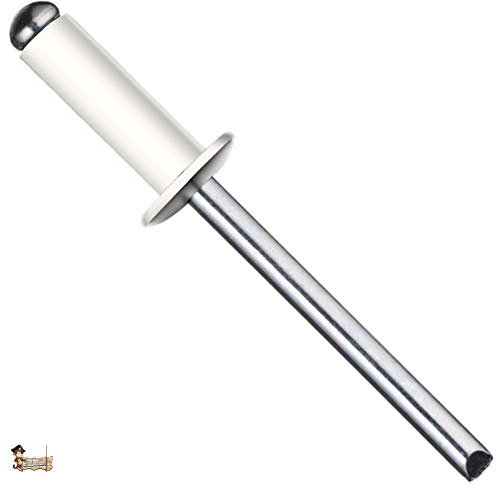 BricoLoco Remache blanco tubular estándar Pop DIN 7337. Ciego. Cabeza redonda alomada de aluminio y vástago de acero. Industrial. Especial matrícula. (100, 4,8x16)