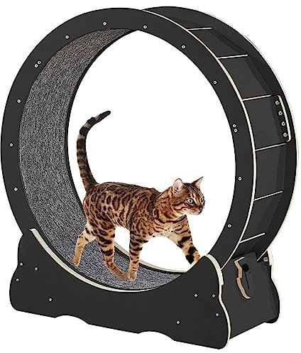 Oiyekntd Katzenrad -Übende für Innenkatze, Verbessertes Katzenlaufrad mit Katzenkratzer, großes Katzen-Laufband-Katzen-Katze-Gehen mit Stiller Landebahn und No-Gap-Design,Black-M