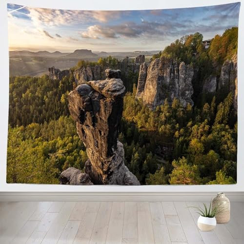 Tizhweqo Wandteppich 3D Berg, Wandbehang Natürliche Landschaft, Wandtuch Berg Tapisserie Tapestry für Schlafzimmer Wohnzimmer Wohnheim Deko 200x200 cm GT1079