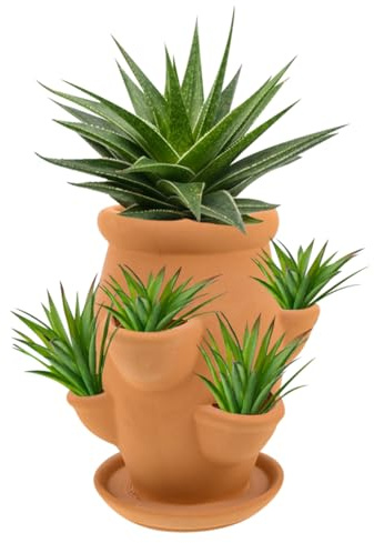 Kisangel Terracotta Pflanztopf mit Fächern für Sukkulenten Dekorativer Blumentopf für Erdbeeren und Blumen Leichter Blumentopf für Innen und Außenbereich