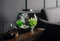 OASE 45639 biOrb CLASSIC 15 MCR schwarz