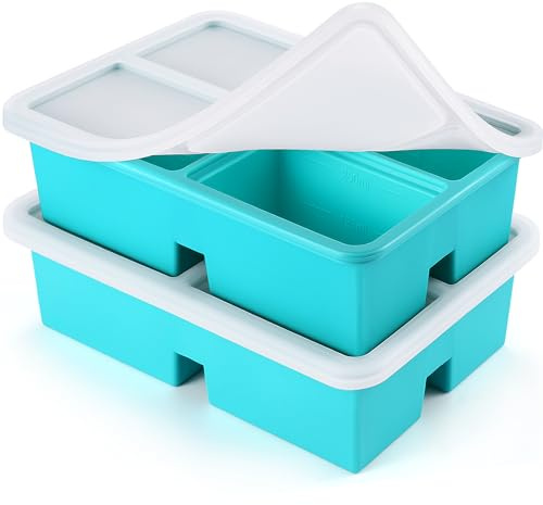 BIONMAPLE Vassoi per congelatore in silicone con coperchio, stampi per zuppe e congelatori, contenitori per congelare e conservare zuppe, salse, brodo e avanzi, 1 tazza di stampi per congelatore in
