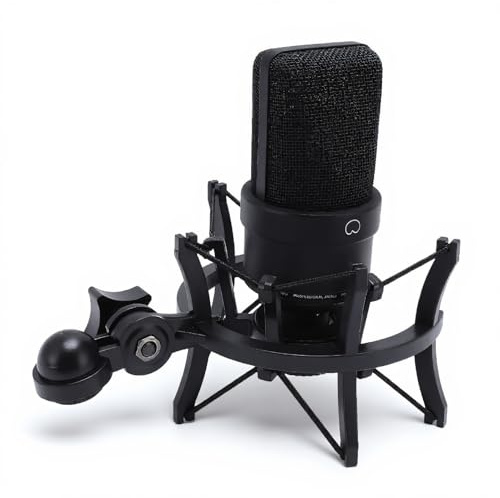 Topiky Ensemble de Microphones à Condensateur, Micro à Diaphragme de 26 Mm pour Podcasting, Chant, Diffusion en Direct avec Câble XLR Résistant aux Chocs (Black)