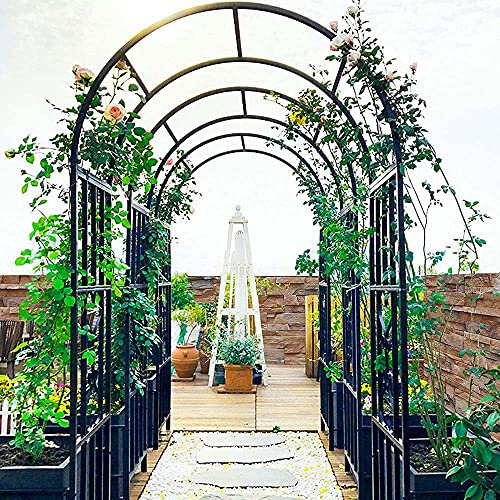 MENG Metallo Decorativo Giardino Arco Traliccio Giardino Esterno Pergolato Telaio in Ferro Pianta Rampicante Pergolato Pergolato per Cortile/Prato/Patio, Nero