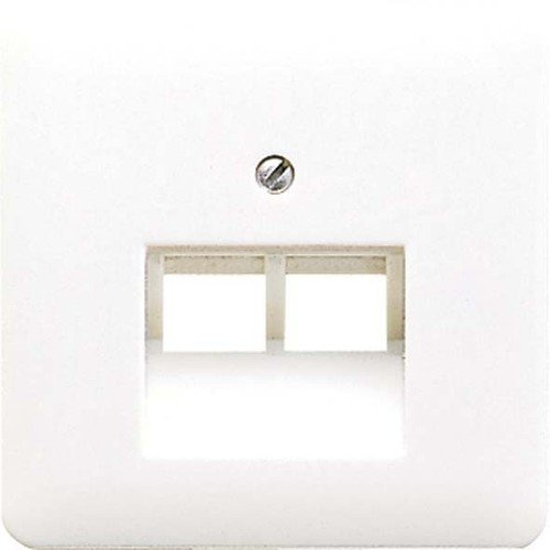 Jung 569-2UA Abdeckung für IAE/UAE-Anschlussdose