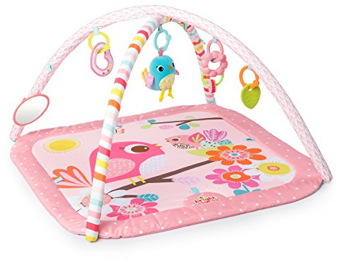 Bright Starts, Birds and Blooms, rosa, Spieldecke mit Spielbogen, 4 Melodien, Babysicherem Spiegel, Schiebekugeln, Rassel, Funklinks zum anbringen zusätzlicher Spielzeuge und Vielem Mehr