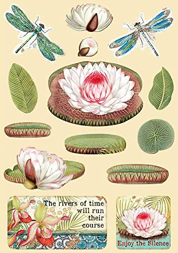 Stamperia KLSP094 A5 Farbiger Rahmen-Amazonia Seerose, Papier, Multi