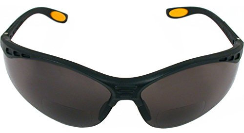 DEWALT DPG59-220C Reinforcer Rx-Bifocal 2.0 - Lentes de seguridad protectoras de alto rendimiento con patillas de goma y funda protectora para gafas