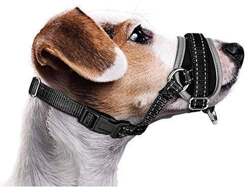 Nasjac Maulkorb für Hunde, Verstellbare Weicher Nylon maulkorb um Beißen zu verhindern Anti-Bellen Stoppen Sie das Kauen Essen Atmungsaktiv Hundemundschutz für kleine Hunde