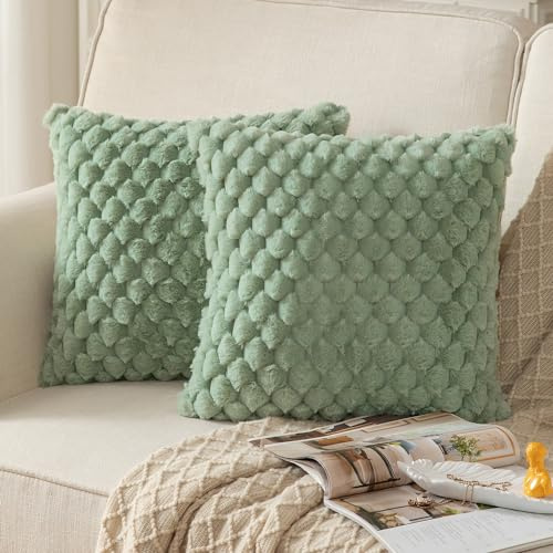 Mandioo 2er Set Salbeigrün superweichen dekorative Plüsch Kissenbezug Kissenbezüge 60 x 60 cm Wollsamt Dekokissenbezüge Kissenhülle Sofakissen Dekokissen flauschig für Couch Sofa Bett Wohnzimmer