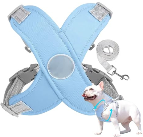 Hundegeschirr, mittelgroßes Geschirr | kein Zuggeschirr für große Hunde, Zubehör für Haustiere, verstellbar, reflektierend für Training, Spazierengehen, Rand