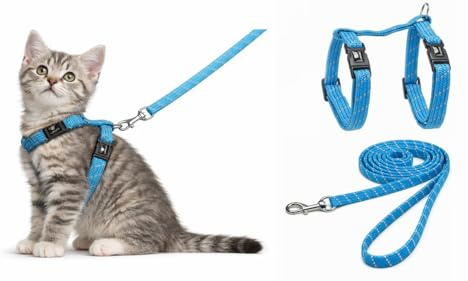 arnes para Gatos - Gatito Elza Azul - 15-22cm - 20-30cm - Correa 120cm - Nylon Ajustable - Reflectante - con mosqueton