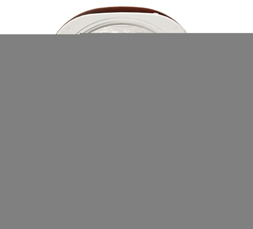 Lavatrice per Biancheria Intima 3 Marce 12 Litri Lavabiancheria Intima | Lavatrice Intelligente per Mutandine Per Asciugamano Reggiseno Mutandina Calzino Campeggio Viaggio Appartamento Casa Dormit