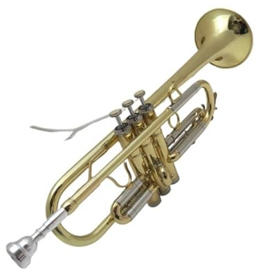 Beginners Of Brass Academy C-Trompete Instrumenten-Profi-Prüfung Für Anfänger