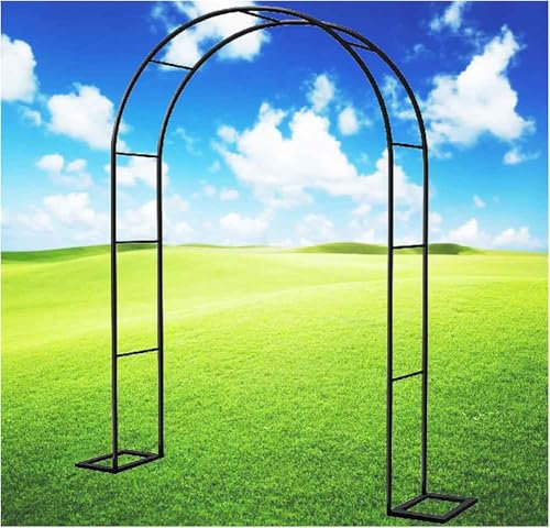 WCQSYY Arco De Jardin para Plantas Arco De Hierro Forjado para Plantas Trepadoras Arco De Rosales para Plantas Trepadoras,Blanca,W1.2M*H2.2M