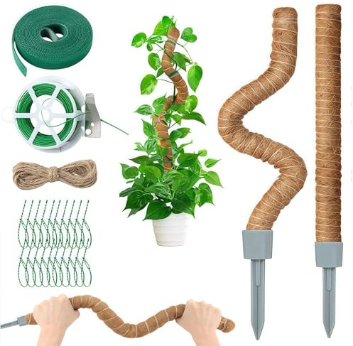 Ymoryiyi Moosstab 2er Set 100 cm, Pflanzenstab für Monstera Rankhilfe, Pflanzenstütze für Kletterpflanzen, Ideal für Aufwärtswachsende Pflanzen mit Zubehör