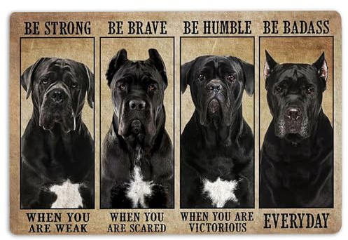 Fußmatte Cane Corso Sei Stark, Mutig, Bescheiden, Knallhart, Cane Corso Hund Duschvorleger Langlebig Badteppich Saugfähig Badezimmerteppich Für Schlafzimmer Küche Wohnzimmer 40X60CM