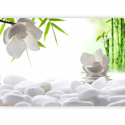 murando Fotomurales 350x256 cm XXL Papel pintado tejido no tejido Decoración de Pared decorativos Murales moderna Diseno Fotográfico Bambu Naturaleza verde b-B-0165-a-a