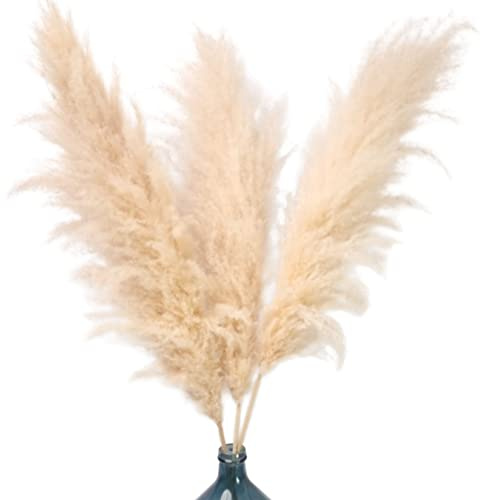 Fleurs pampas séchées naturelles grande taille en bouquet 117 cm | 3 herbes de la pampa qui garnie votre vase dame jeanne plante de decoration interieur mariage deco pour maison salon cocooning boheme