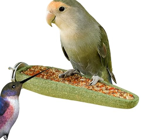 Palos de para Pájaros Juguete de juego con percha y golosina para pájaros