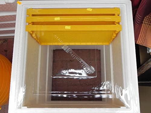 5 (5,60€/Stk) Abdeckhauben PET f. DNM Segeberger StyroBeute 48x48 cm 0,3mm st. mit Falz -vorgeformt- Imker Imkerei