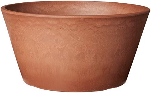 Arcadia PSW Pot TD25TC Collection Shallow Bulb Pan Planter for Succulents, Bonsai, Fairy Gardens, Herbs, Terra Cotta Color, Plastic Stone Wood, 10 by 5-Inch
