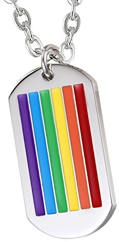 Cupimatch Herren Edelstahl Halskette, Homosexuell LGBT Gay & Lesbian Pride Dog Tag Anhänger Hochglanz Poliert mit 55cm Kette, Silber Regenbogen