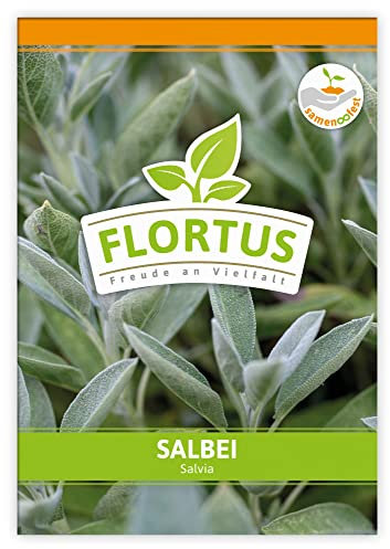 FLORTUS Salbei | Kräutersamen | Salbeisamen | Samen zur Anzucht für Garten, Balkon, Küche & Fensterbank