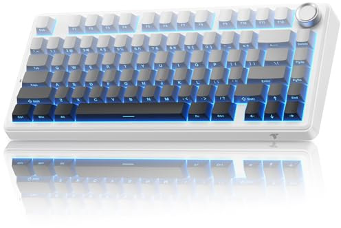 TECURS MK209 tastiera meccanica gaming 75% QWERTY (layout US), Gasket wireless con hot swap, 2.4 GHz/Type-C/BT 5.0, RGB, tasti PBT stampati lateralmente​