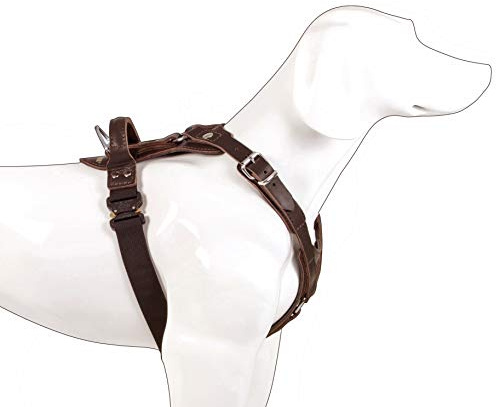 DINGO GEAR Hundegeschirr aus edlem Leder, handgefertigt, Dunkelbraun, Größe M