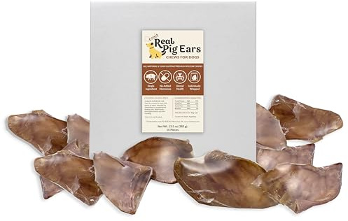 Pig Ears for Dogs – 10 Count, All Natural, Single Ingredient, Individually Wrapped for Freshness & Odor Control – Long Lasting Rawhide Alternative Chews, Healthy Dog Treats for Medium & Large Dogs