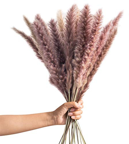 Zhongtou 30Pcs Herbe de La Pampa Brun Artificielle Bouquet Fleurs Séchées Naturelles Deco Pampas Sechees Decoration 60 Cm Pampas Grass, pour Boheme Decoration Interieur Maison Mariage Vase