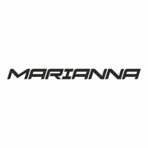 AMA SHOP Adesivo Prespaziato scritta stile racing personalizzabile con nome |Sticker per Casco, Moto, Camper,Barca | autoTuning |