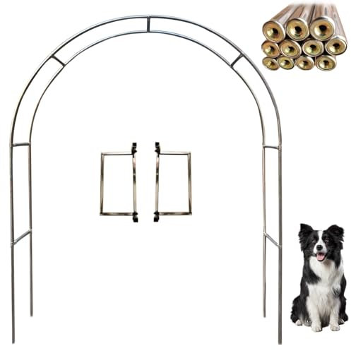 Arche de jardin ou de mariage en acier inoxydable 230/240 cm pour plantes grimpantes, treillage de rose, tonnelle, treillis extérieur (19 mm, 1,2 x 2,3 m)