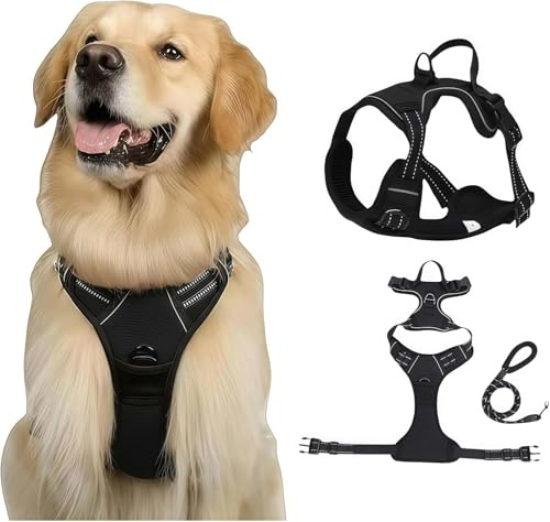 Fellstern Anti-Zieh-Geschirr, Fellstern Geschirr mit Step in Design, Atmungsaktiv & Gepolstert, für Entspanntes Spazierengehen, Kontrolle ohne Ziehen, für Hunde jeder Größe (XL)