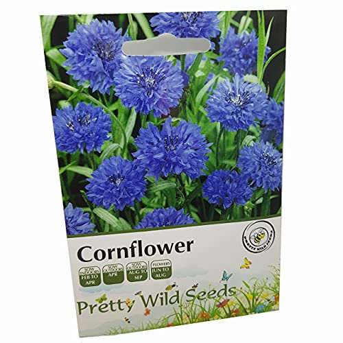 Cornflower Annual Wild Flower Seeds in Pictorial Packet from a UK Seller