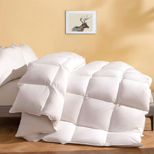DWR Luxury Feather Down Fiber Comforter Queen Size, Ultra-Soft Cotton-Blend Fabric, 750 FP Medium Weight for All Season Hotel Style Fluffy Duvet Insert with Ties (90x90, White)