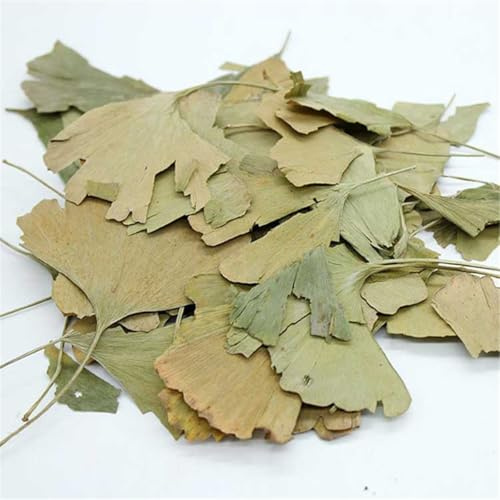 50g Tisana Medicinale Fatta a Mano Da Foglie Di Ginkgo Foglie Di Ginkgo Biloba Tea Cinese Sostitutivo Della Pianta Bevanda Dolce E Dal Gusto Delicato (100g)