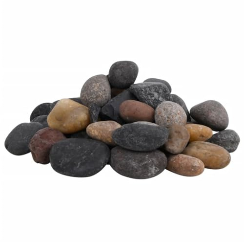vidaXL Polerad småsten 10 kg blandade färger 5-8 cm